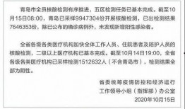 1024手机国产看片,探索国产影视新天地